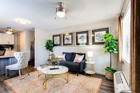 Woodstock apartment for rent - A living room with a white chair, a black couch, a coffee table, and a rug.