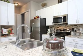 Kingwood apartment for rent - A kitchen with a stainless steel sink and refrigerator.