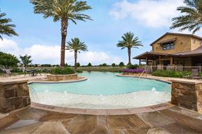New Braunfels apartment for rent - A large outdoor swimming pool surrounded by palm trees and a stone patio.