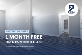 London apartment for rent - A room with a 1 month free on a 12-month lease offer.
