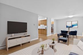 Moncton apartment for rent - A living room with a television, two chairs, a table, and a rug.