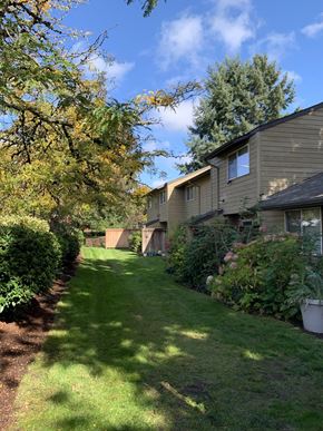 Eugene apartment for rent - A sunny day in a residential area with houses and greenery.