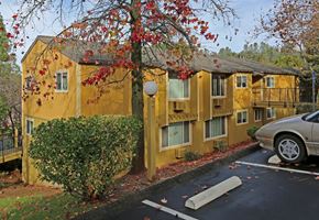 Auburn apartment for rent - A yellow building with a tree in front of it.
