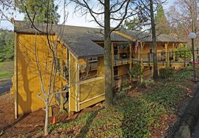 Auburn apartment for rent - A yellow building with a black roof and a tree in front of it.