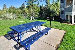 Grass Valley apartment for rent - A blue picnic table is in the middle of a grassy area.