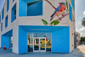 Los Angeles apartment for rent - A blue building with a mural of a bird on it.at Catalina West Adams, Los Angeles, 90016