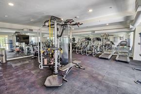 Los Angeles apartment for rent - A gym with a variety of equipment including treadmills, weights, and exercise machines.at The Dillon, Los Angeles California