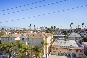 A residential area with houses and palm trees.