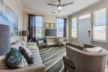 Leland apartment for rent - A living room with a grey couch and a green striped rug.
