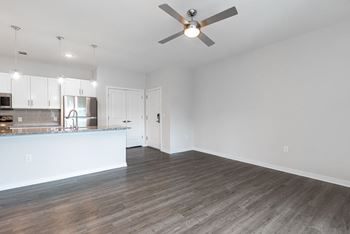 Kitchen and living room