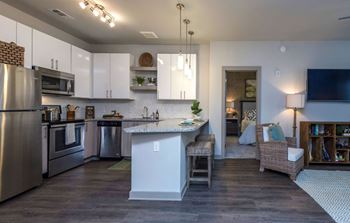 Living room and kitchen