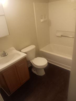 Roanoke apartment for rent - Complete bathroom