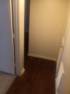 Roanoke apartment for rent - A white door is open to a dark hallway.