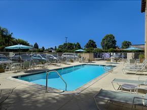 Huntington Beach apartment for rent - A large swimming pool surrounded by sun loungers and umbrellas.
