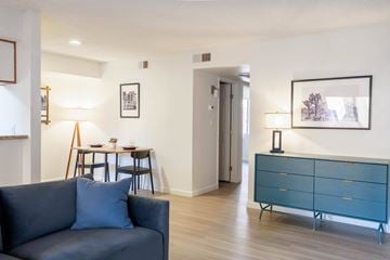 Tempe apartment for rent - A blue couch sits in a living room with a wooden floor and white walls.