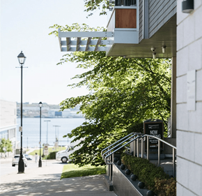 Halifax apartment for rent - A white building with a black lamp post on the left and a tree in front of it.