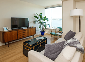 Halifax apartment for rent - A living room with a white couch, a wooden cabinet, a flat screen TV, a potted plant, and a floor lamp.