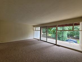 Dallastown apartment for rent - A room with a carpeted floor and a view of a fence and trees outside through the windows.