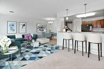 Harrisburg apartment for rent - A living room with a green couch and a blue and white rug.
