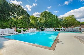 Virginia Beach apartment for rent - A large swimming pool surrounded by trees and lounge chairs.