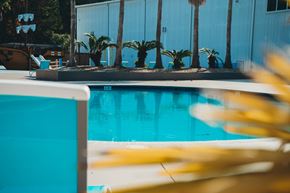 Biloxi apartment for rent - A pool with a yellow palm leaf in the foreground.