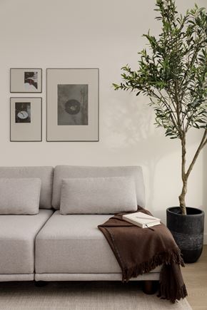 Vancouver apartment for rent - A living room with a grey couch, a tree, and pictures on the wall.
