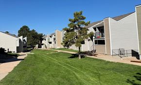 Englewood apartment for rent - A green space with a tree surrounded by apartment buildings.