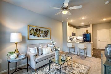 Frisco apartment for rent - A living room with a grey couch, a coffee table, and a painting on the wall.
