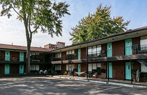 Detroit apartment for rent - A tree stands in front of a building with balconies.