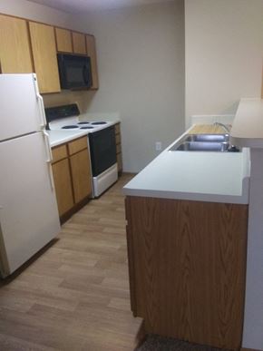 Ligonier apartment for rent - a kitchen with a sink and a refrigerator