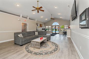 Peoria apartment for rent - A living room with a grey couch and a rug in the middle.