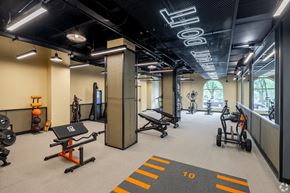 Chicago apartment for rent - A gym with a variety of equipment including a squat rack, bench press, and a rowing machine.