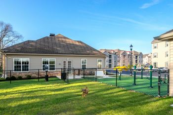 Bark park / pet friendly