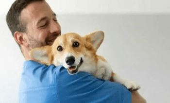 Man is holding a corgi dog in his arms
