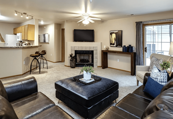Gas fireplace