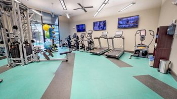 Gym with cardio machines and weights