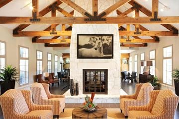 Helotes apartment for rent - A living room with a fireplace and a painting of a dog.