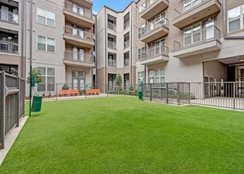 Grassy courtyard
