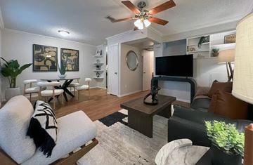 San Marcos apartment for rent - A living room with a white couch and a black and white striped pillow.
