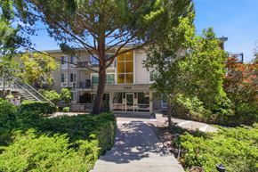 San Mateo apartment for rent - A tree in front of a building with the number 1903 on it.