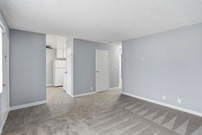 San Jose apartment for rent - A spacious room with a carpeted floor and a few doors.