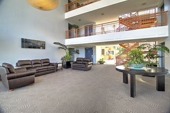 Lobby with sofas and tv full area