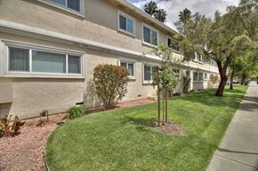 Sunnyvale apartment for rent - View of the apartment's exterior displaying landscaping and the sidewalk