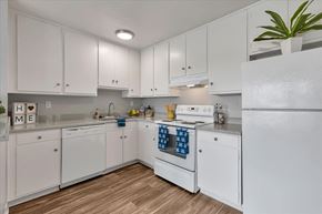 San Jose apartment for rent - All electric kitchen appliance