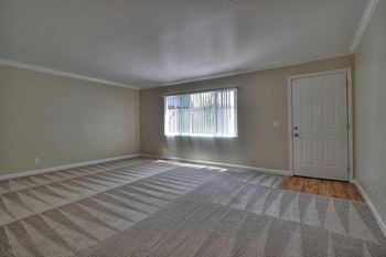 Spacious living room