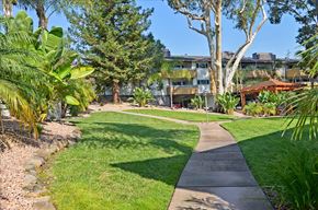 Menlo Park apartment for rent - A walkway leads through a grassy area with trees and apartment buildings in the background.