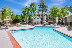 Palo Alto apartment for rent - A large swimming pool surrounded by trees and apartment buildings.