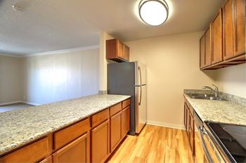 Modern kitchen appliances