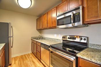 Modern kitchen appliances with cabinets