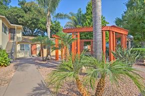 Menlo Park apartment for rent - a house with a pathway and palm trees in front of it